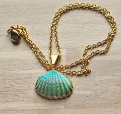 Ketting goudkleurig met turkoois-groen schelpje